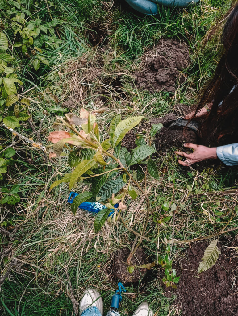 Jornada de Siembra 2025