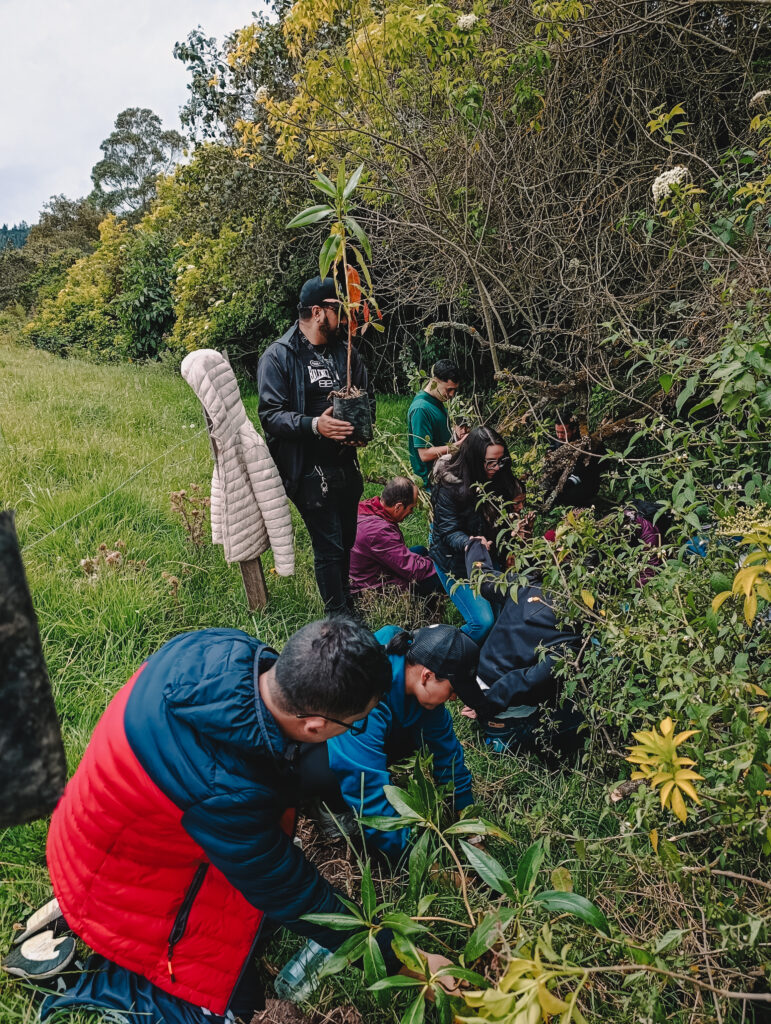 Jornada de Siembra 2025